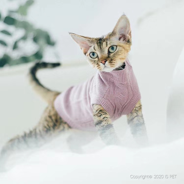 🎁ISPET始于2005年🎁2020秋冬新款🎀KS0072🎀 着装体验上也可以给宠物带来安逸的舒适感。此款有猫狗详情图7