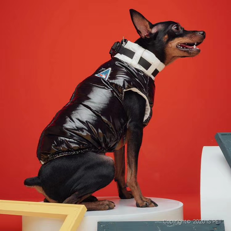 🦋ISPET始于2005年🦋2020秋冬新款🎀CT0146🎀撞色亮面织带羽绒服,科技光感面料，亮光表面时尚度光泽详情图7