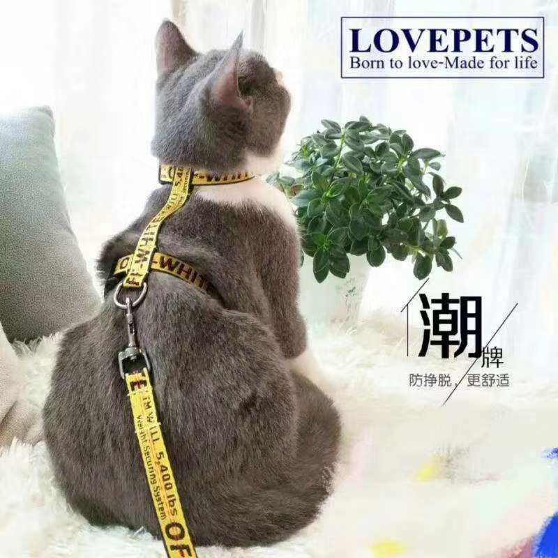 潮牌狗狗胸背带。穿上帅帅的有没有