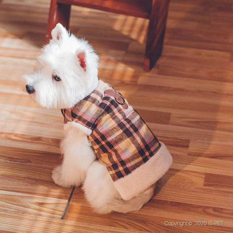 🎊 ISPET began in 2005, 2020 new winter 🌸 🎊 CT0126 🌸 boxer design partial northern wind, very broad restoring ancient ways is concise. The back deck is not only beautiful thumbnail