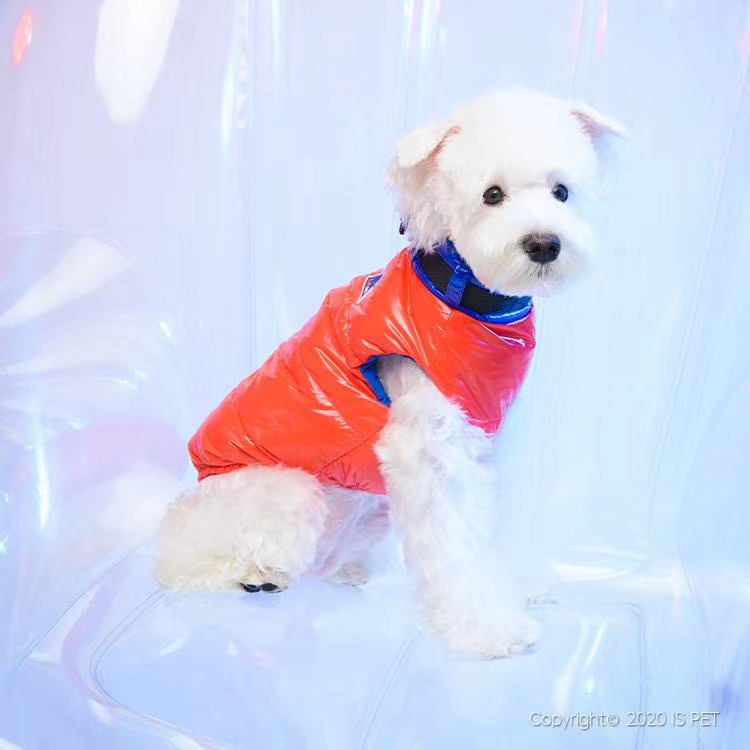 🦋ISPET始于2005年🦋2020秋冬新款🎀CT0146🎀撞色亮面织带羽绒服,科技光感面料，亮光表面时尚度光泽详情图6