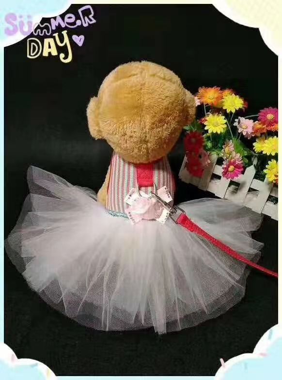 夏季必备，精美包装，防挣脱舒适胸背还可以当做衣服饰品