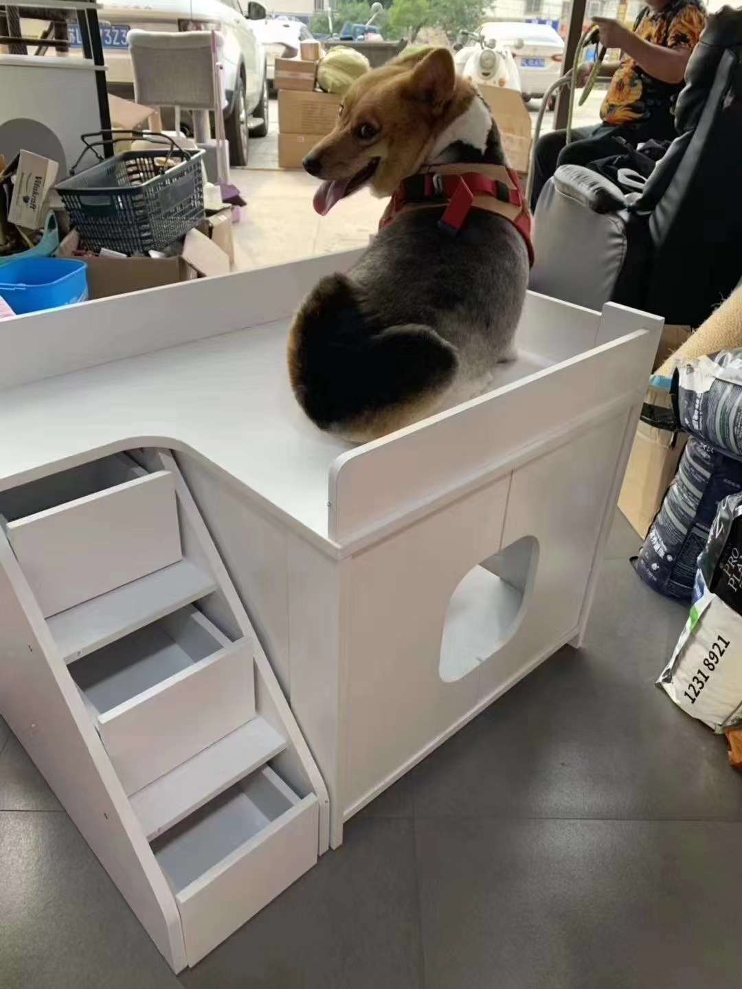 人宠同用；宠物别墅🏡，出口韩国🇰🇷的尾单，🈶️3⃣️种颜色
[爱心]白色、灰色。胡桃木
重量60斤😱（特别有份