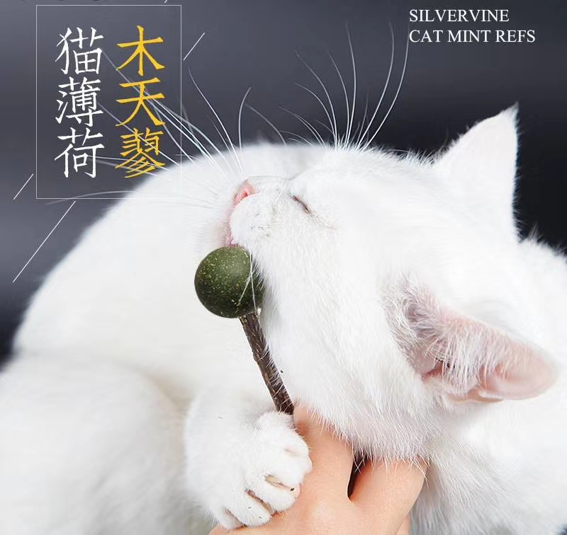 各种天然猫咪最爱的Du   PING爆款各种木天蓼，猫薄荷，支持定制详情图9