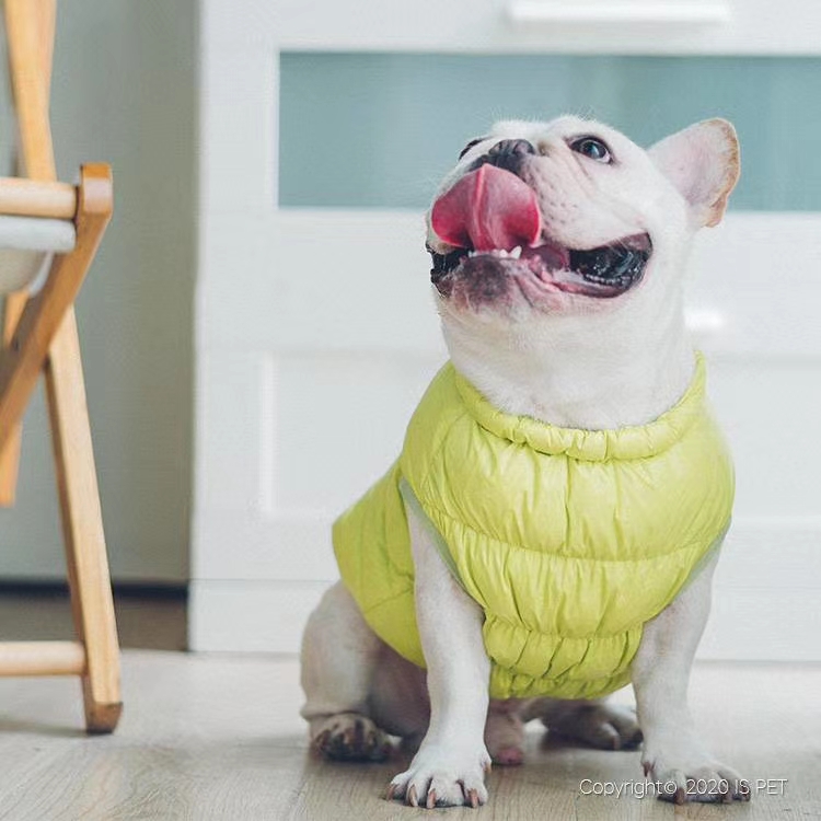 👑ISPET始于2005年👑2020秋冬新款💋CT0156💋款式上面松紧领口，侧边开扣都是为了方便狗狗穿脱以及适详情图7