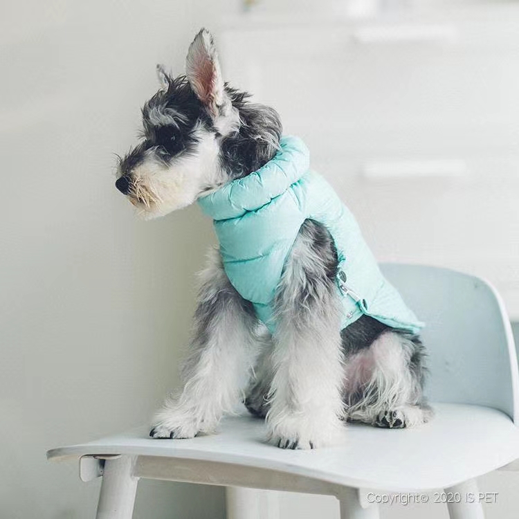 👑ISPET始于2005年👑2020秋冬新款💋CT0156💋款式上面松紧领口，侧边开扣都是为了方便狗狗穿脱以及适详情图6