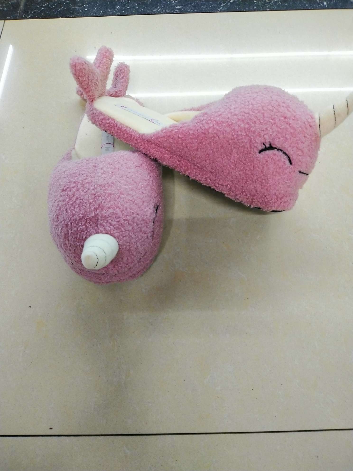Dolphin Half details Picture