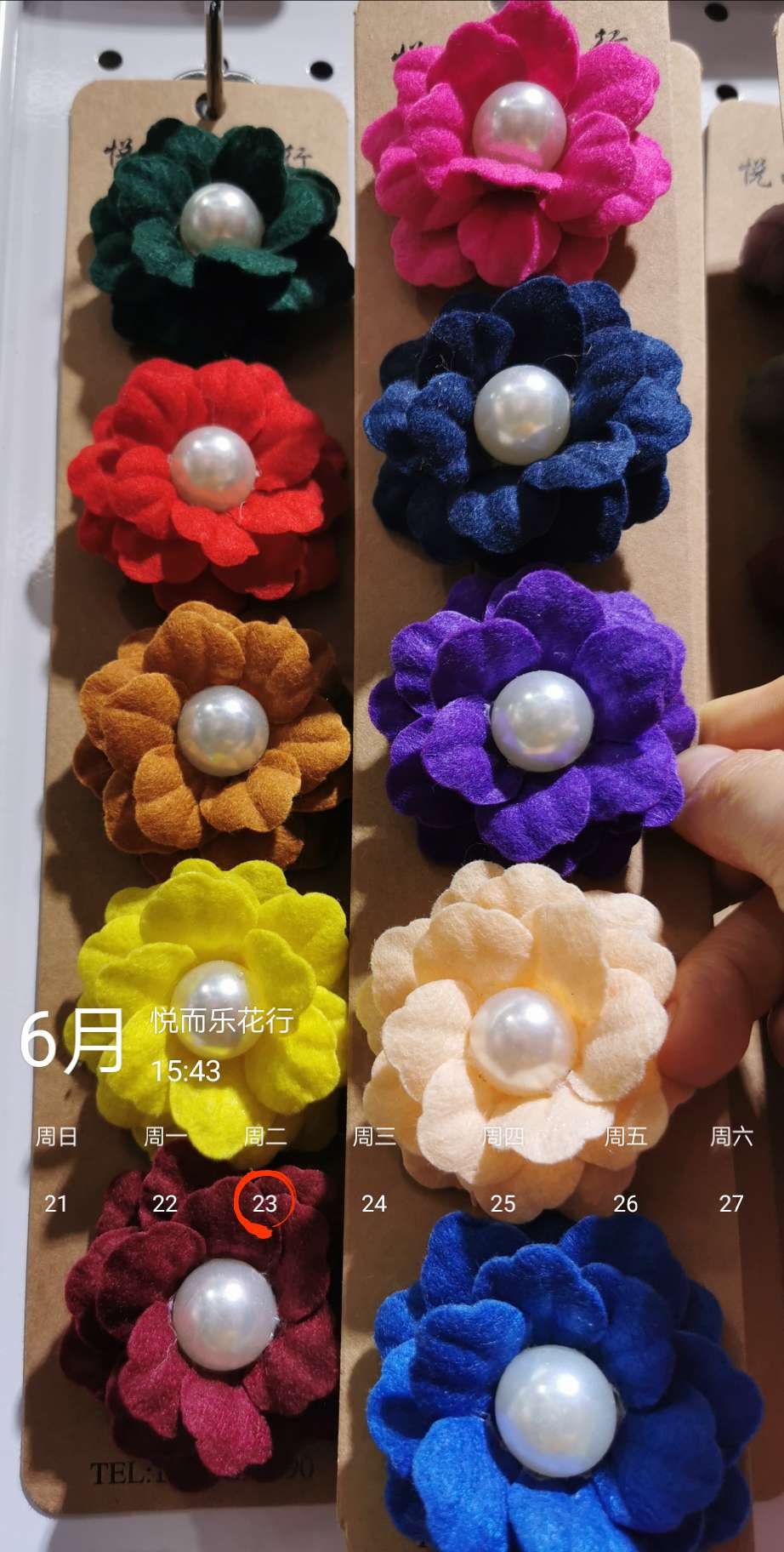Children hair accessories Baby jewelry Girls hair card wholesale woolen cloth pearl camellia clothing accessories shoes and hats accessories thumbnail