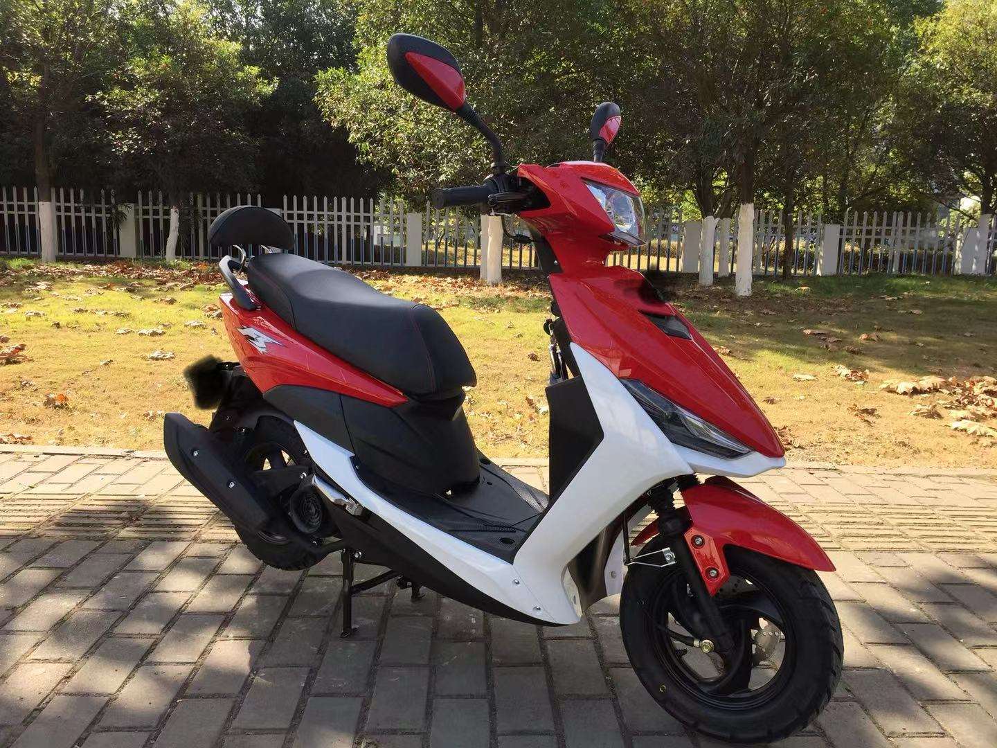 Coche de gasolina qiigge Item Picture