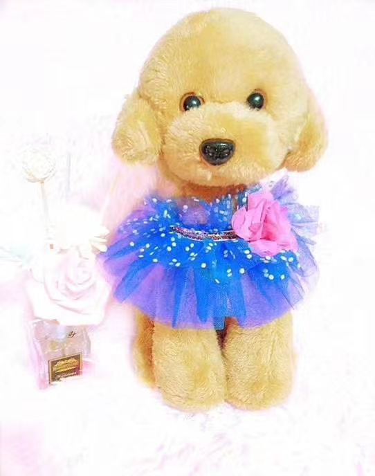 宠物围巾实物图