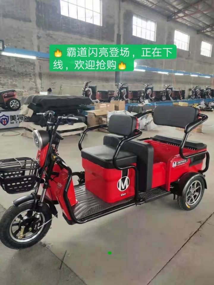 Meida tricycle details Picture