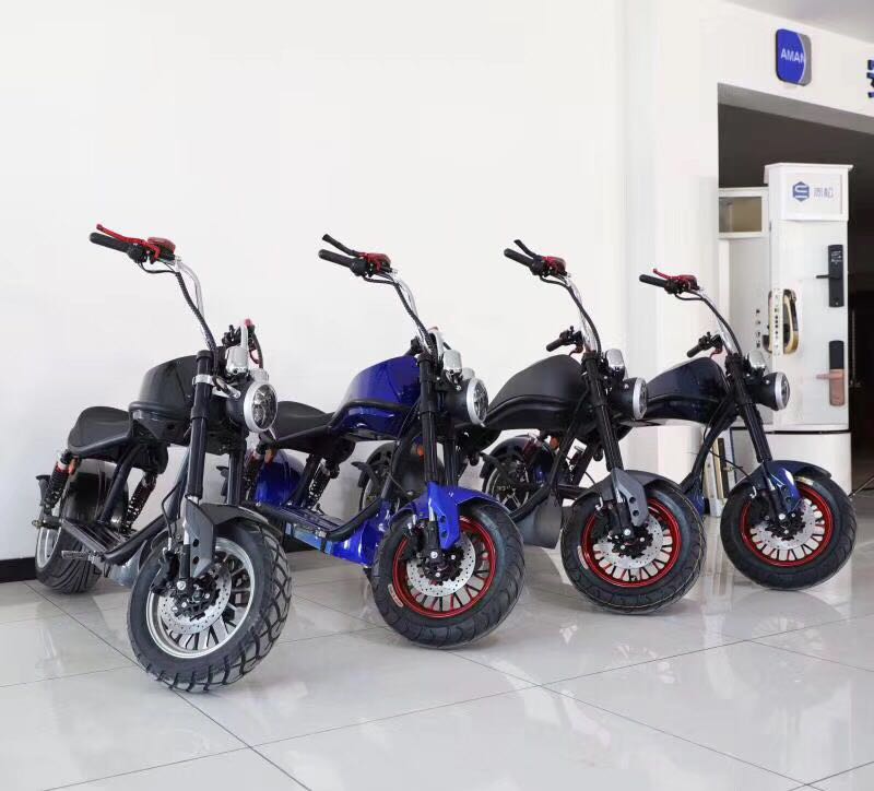 U5 Prince Harley-Davidson details Picture