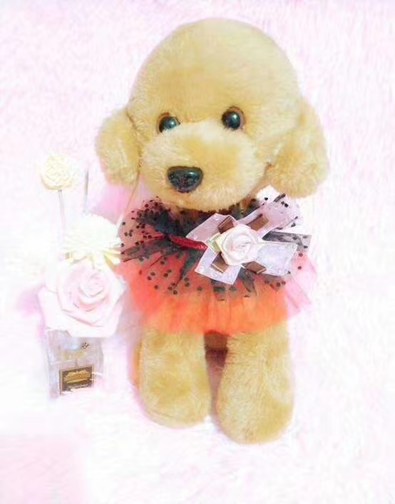 夏季必备，网纱脖圈特别漂亮，欢迎大家都为我们的宠物宝宝来选择一款