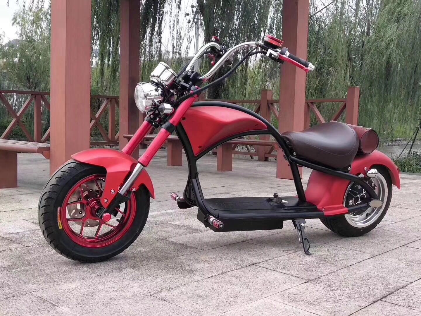 SML-259 Harley-Davidson bike Application Scenario