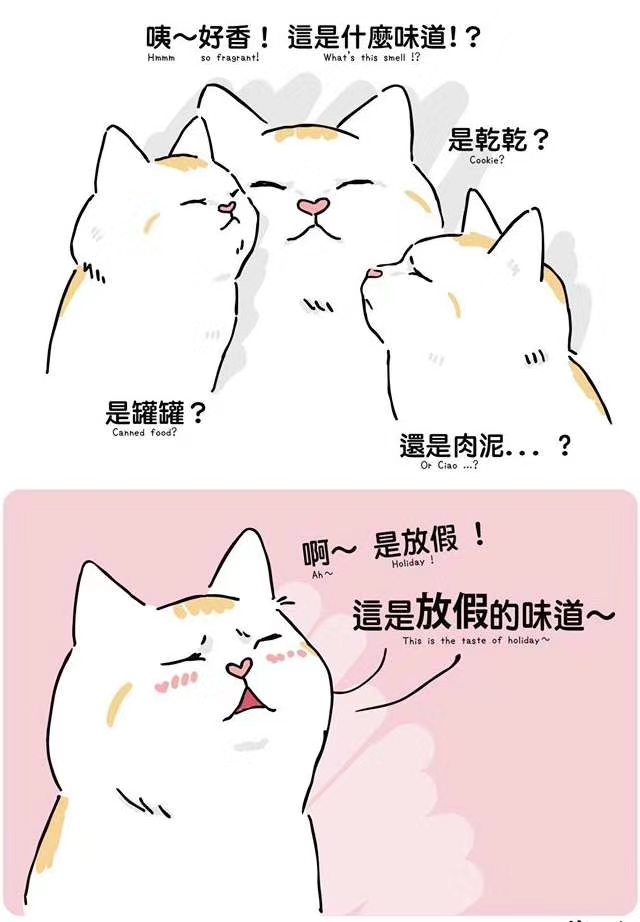 Dog pen toilet
Solve problems with your dog at night
Material explanation durable and easy to clean
Choose small or large
Welcome to order undefined