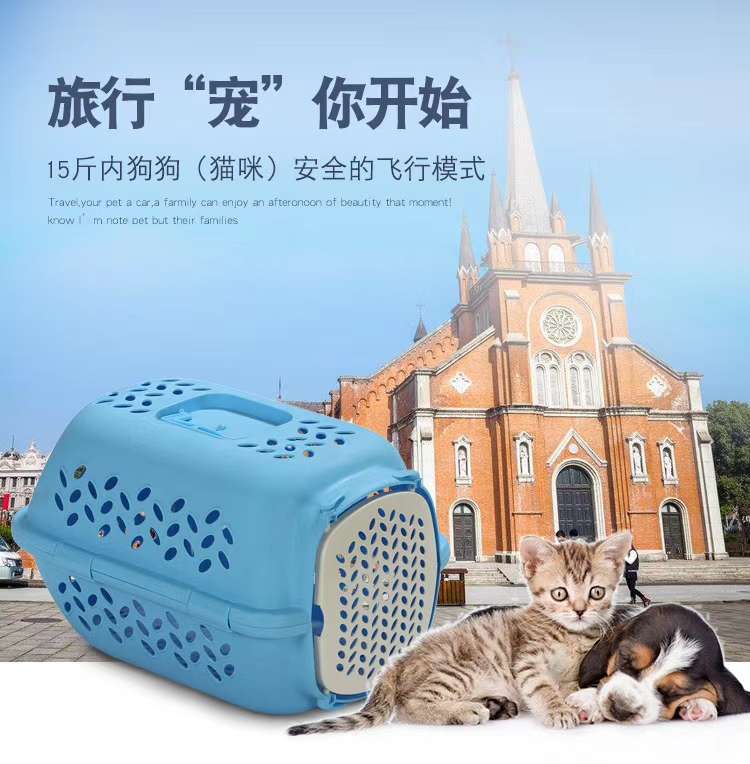 猫咪航空箱 超大空间 舒适无忧
旅途飞行可带猫猫同行
多空设计 超大空间 透气舒适
进口材料 结实耐用
15斤内猫猫均可