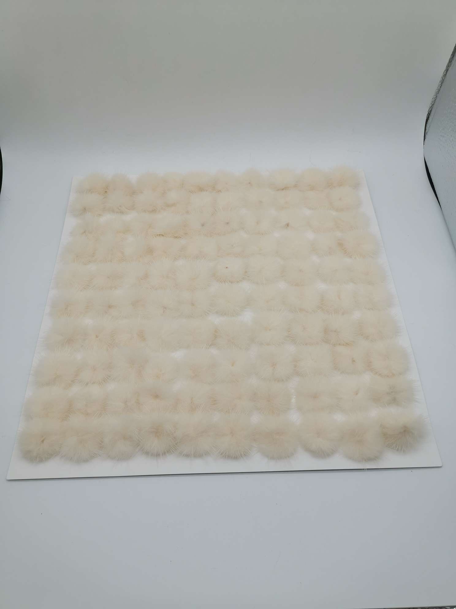 商标/艾美儿皮草产品图