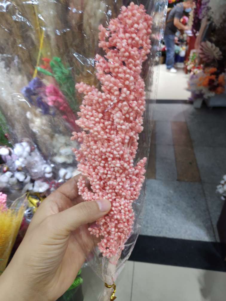 تأتي ملكة الفراشة المجففة من شجرة الشعير المجفف من شجرة الشعير Item Picture