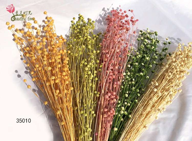 وتستفيد الإمبراطورة المجففة من أغصان الشجر المجفف، من نبات الشعير details Picture
