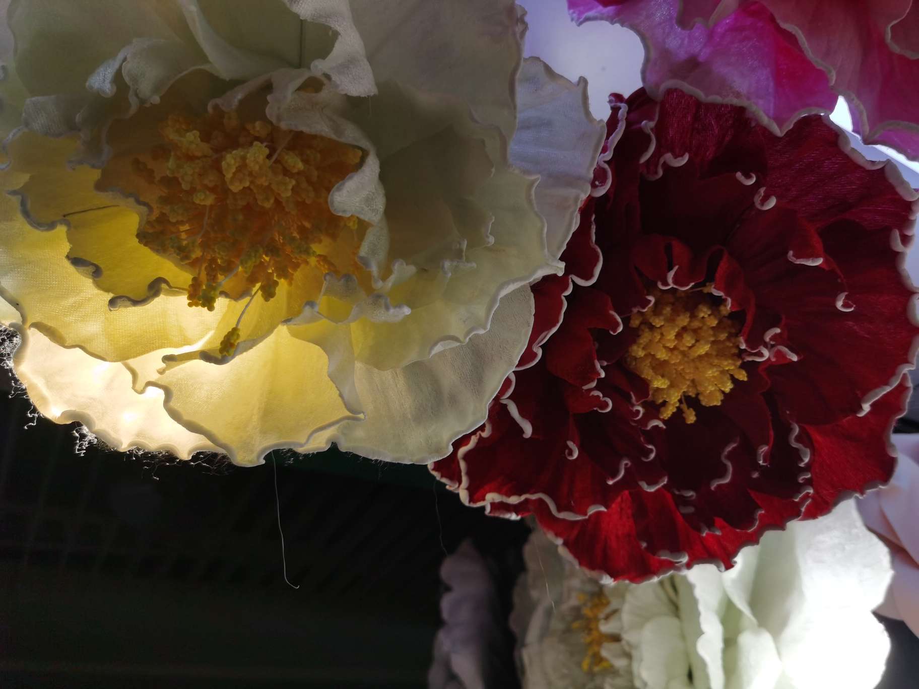 peony thumbnail