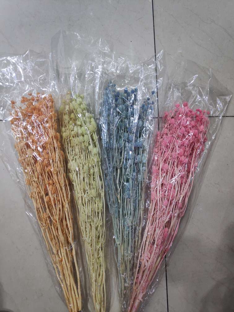 Imitation flower handicraft dried flower tree millet barley reed Queen Motherwort water willow dried flower immortal flower ash peony rose Lover's nut