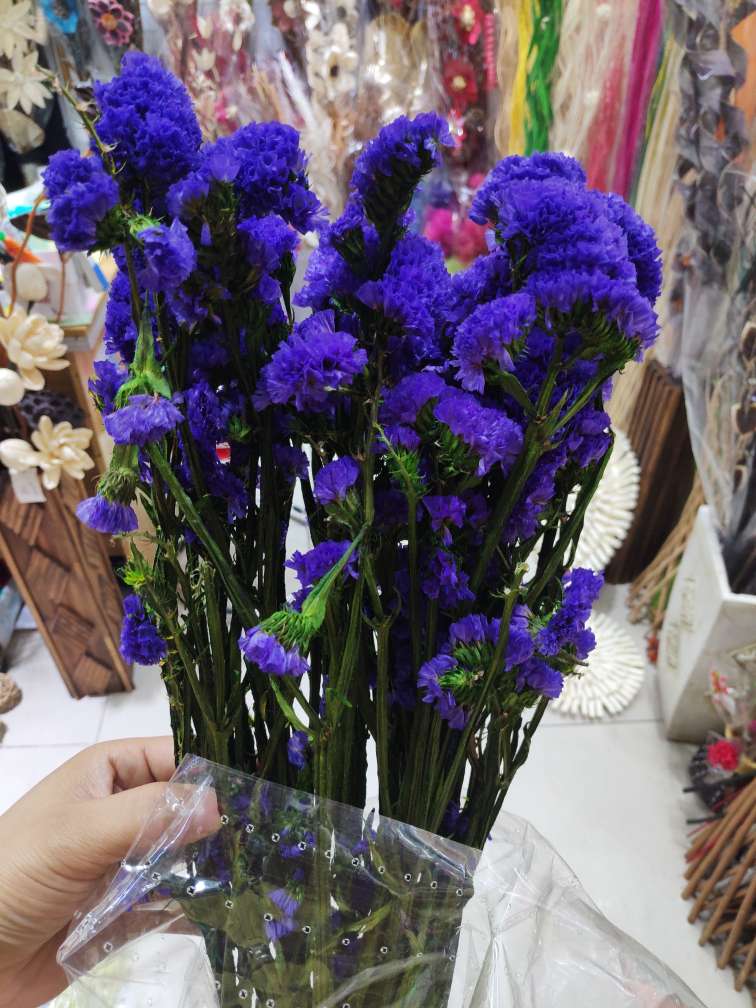 Dried rabbit tail grass, imitation flower wholesale decoration reed Christmas flower pinecone barley wheat oat cereal cereal grass hort crystal flower forget-me-not eternal flower rose thumbnail