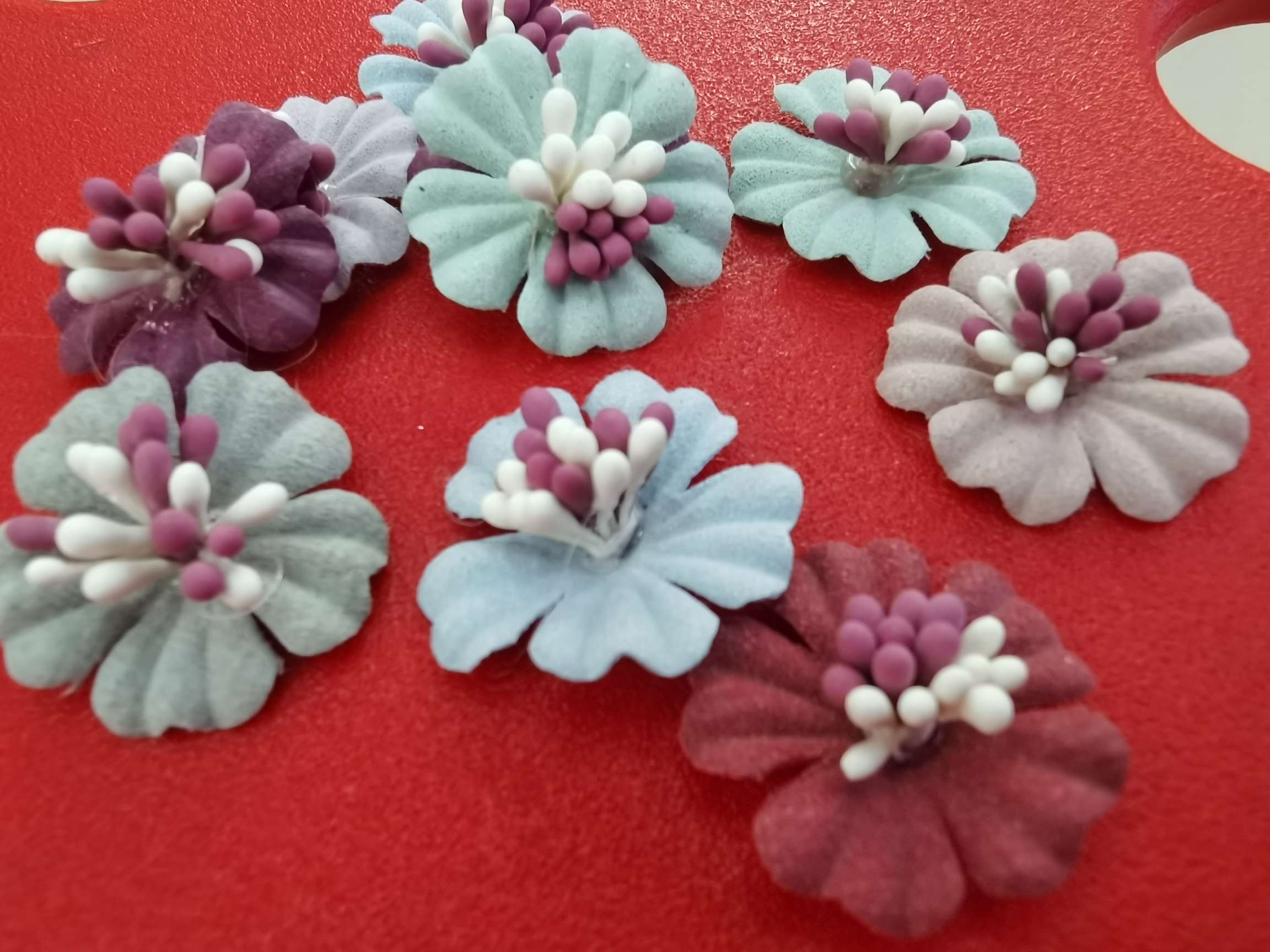 Flower heart shaped 🌸 flower