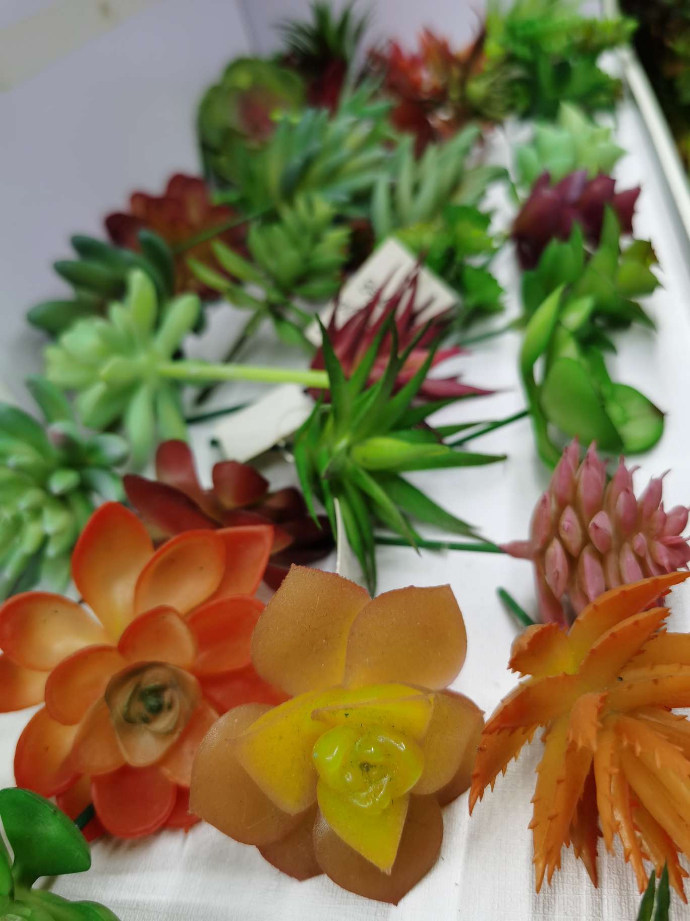 仿真多肉植物摆件居家装饰品DIY 植物墙
