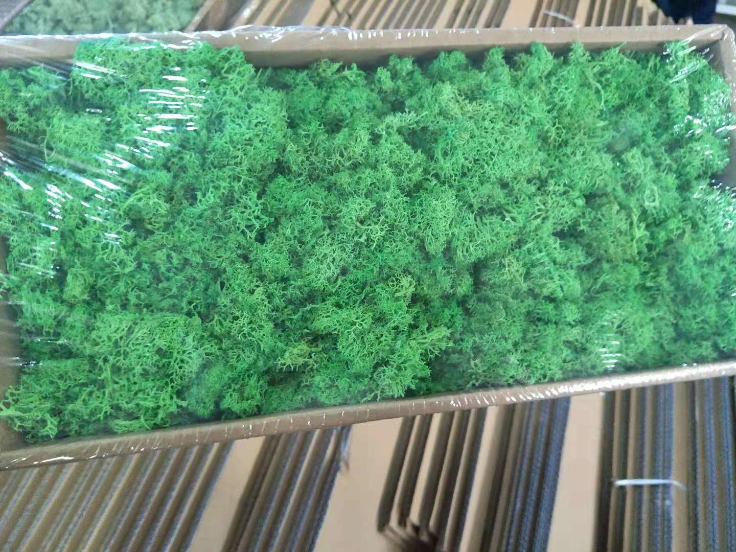 A fresh