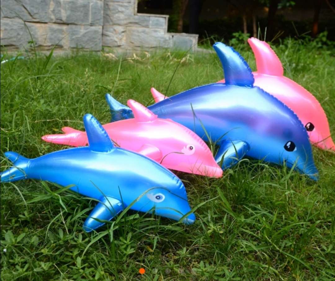 充气玩具50公分海豚鱼