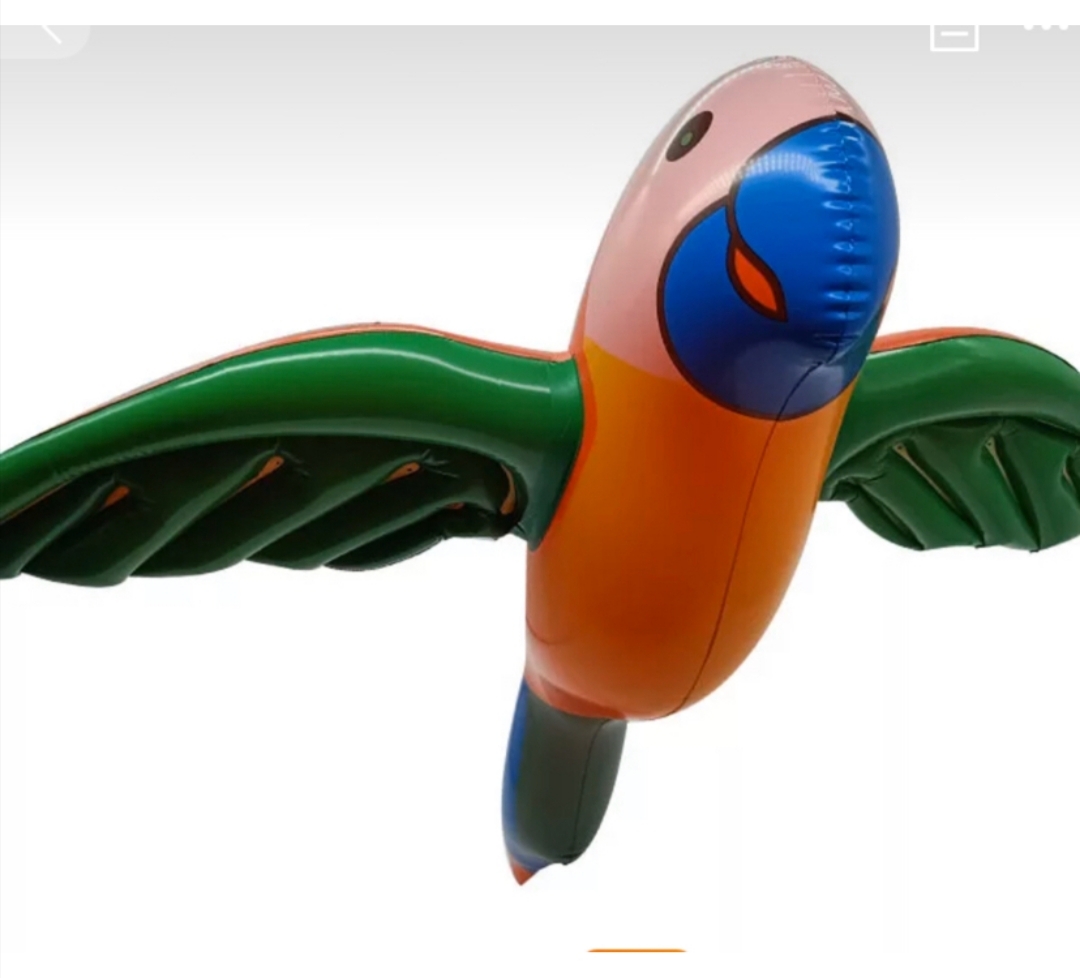 充气玩具鹦鹉白底实物图
