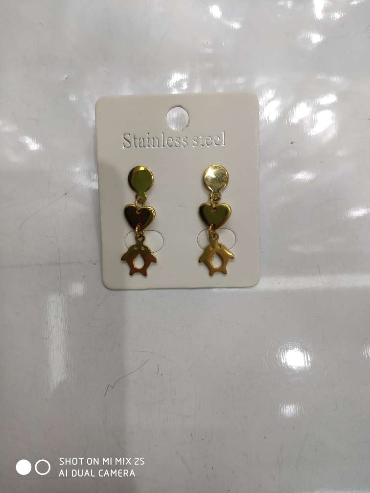 Stainless steel hanging earrings.