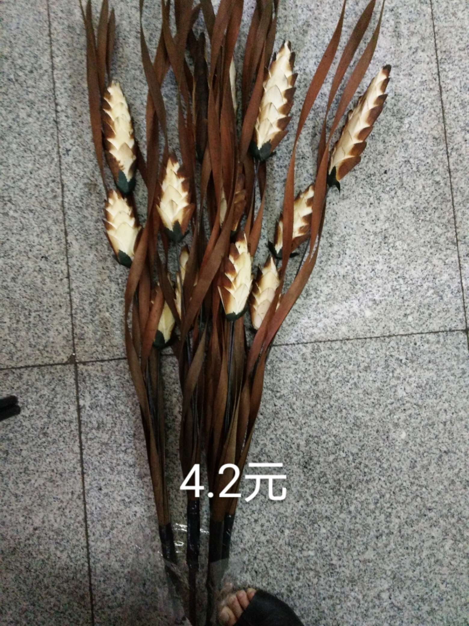 富贵鱼