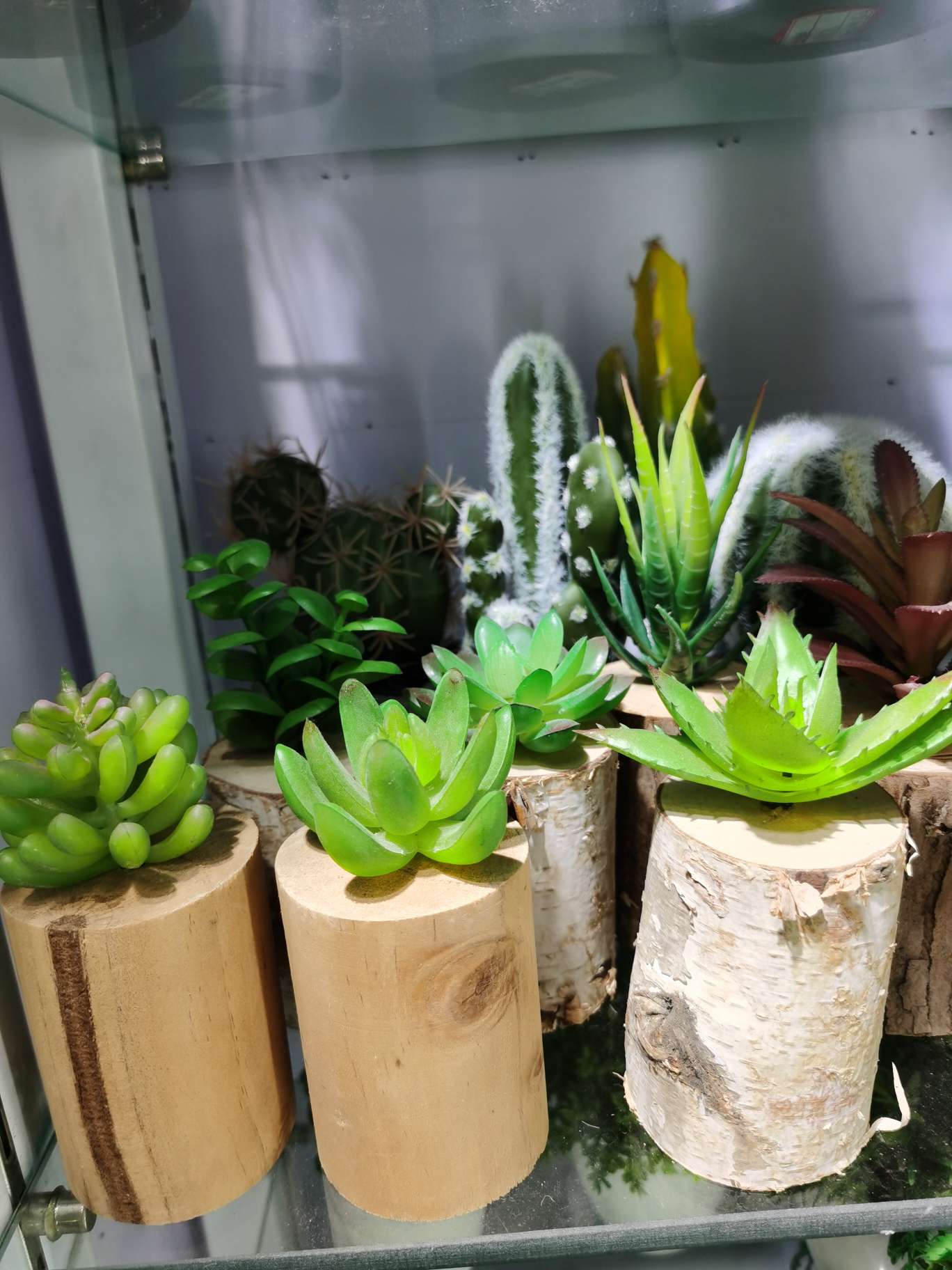 木制工艺品仿真多肉植物摆件居家装饰品盆景