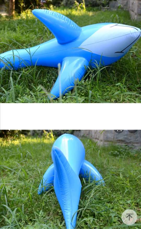 充气玩具海豚鱼1米产品图