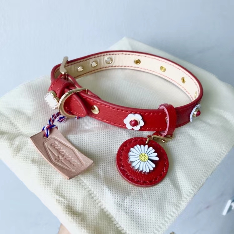 【买家秀】
特别合适这个季节的款式
反馈也软绵绵的好评[呲牙]
好看加小小的可爱
谢谢您找到它的美
推荐给大家[太阳]