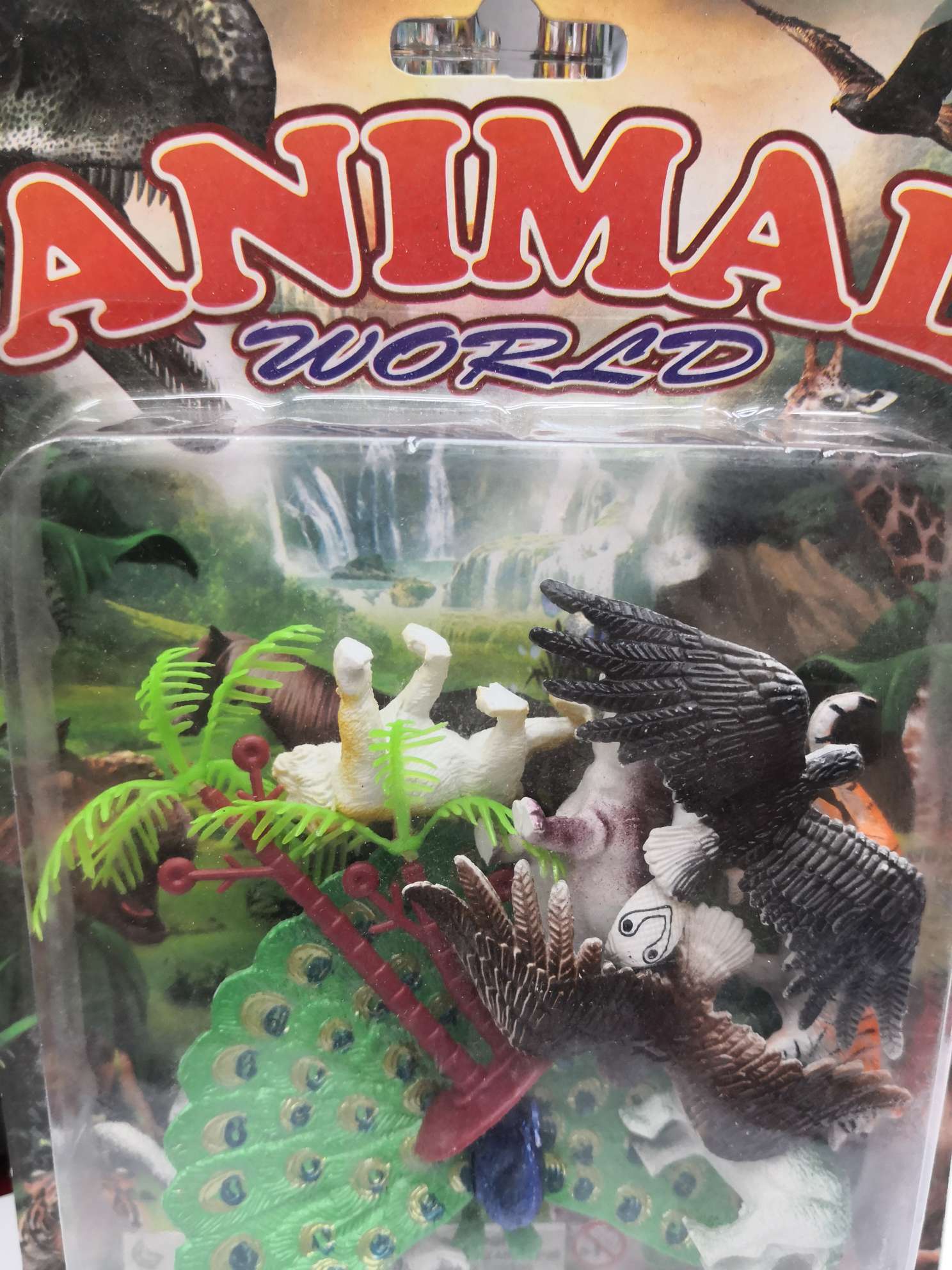 Draw card animal bird mix eight pack