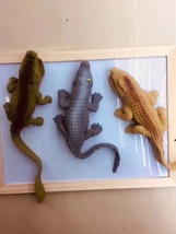 义乌好货 厂家直销减压球鳄鱼壁虎乌龟儿童创意玩具