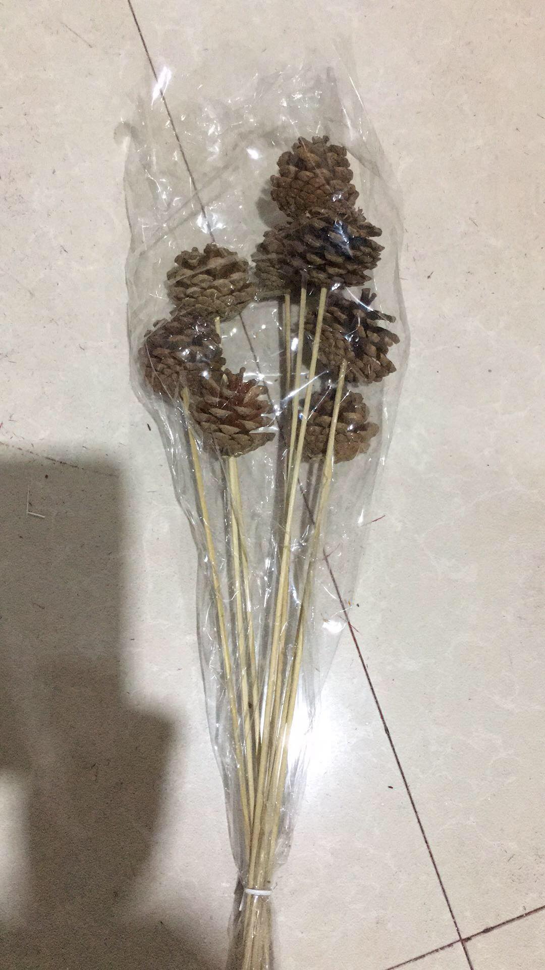 Pine cones