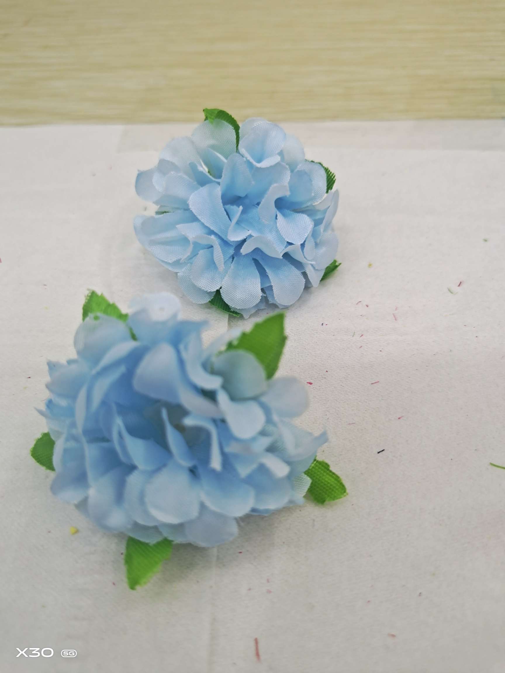 带叶小球菊细节图