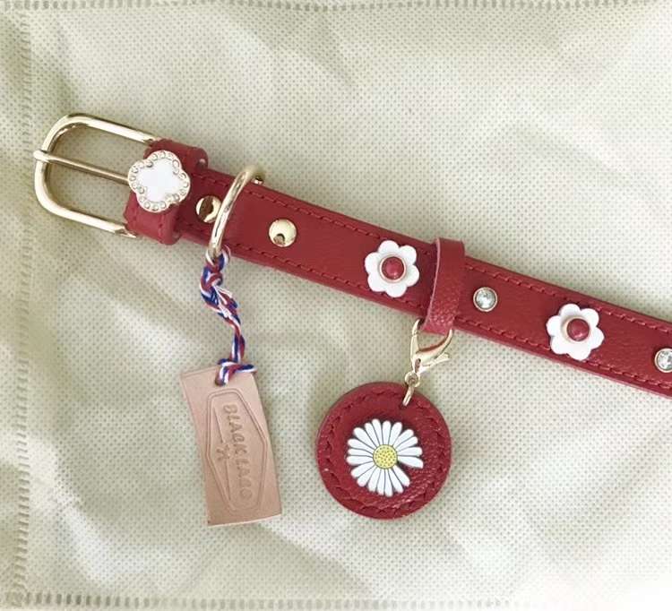 宠物用品项圈/宠物PU项圈/宠物新款项圈产品图