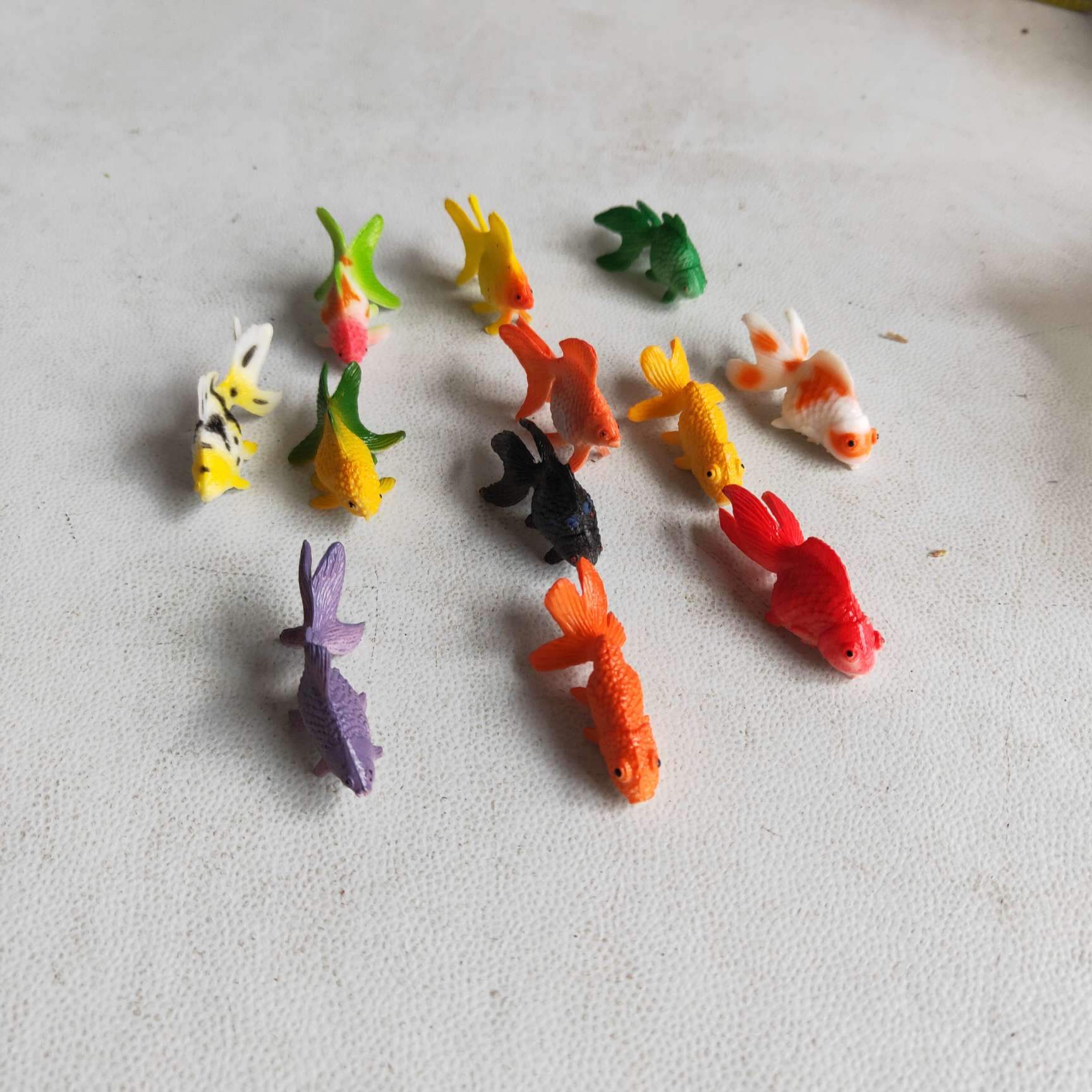 仿真金鱼模型PVC塑胶玩具儿童认知模型 配件