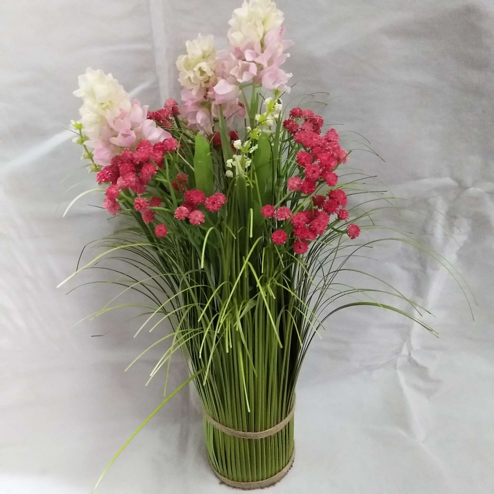 洋葱草LB一30  家用装饰 水草                                           