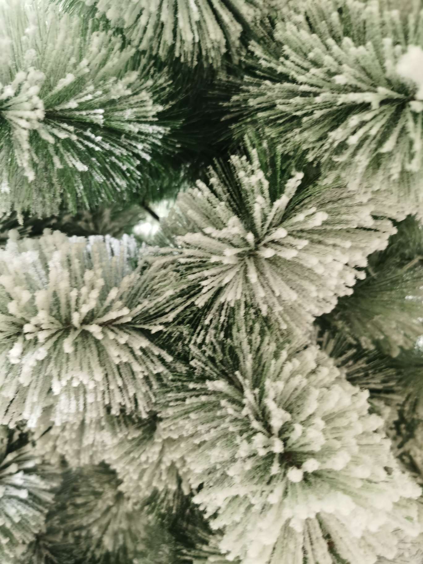 60cm, 2020 new Christmas tree. details Picture