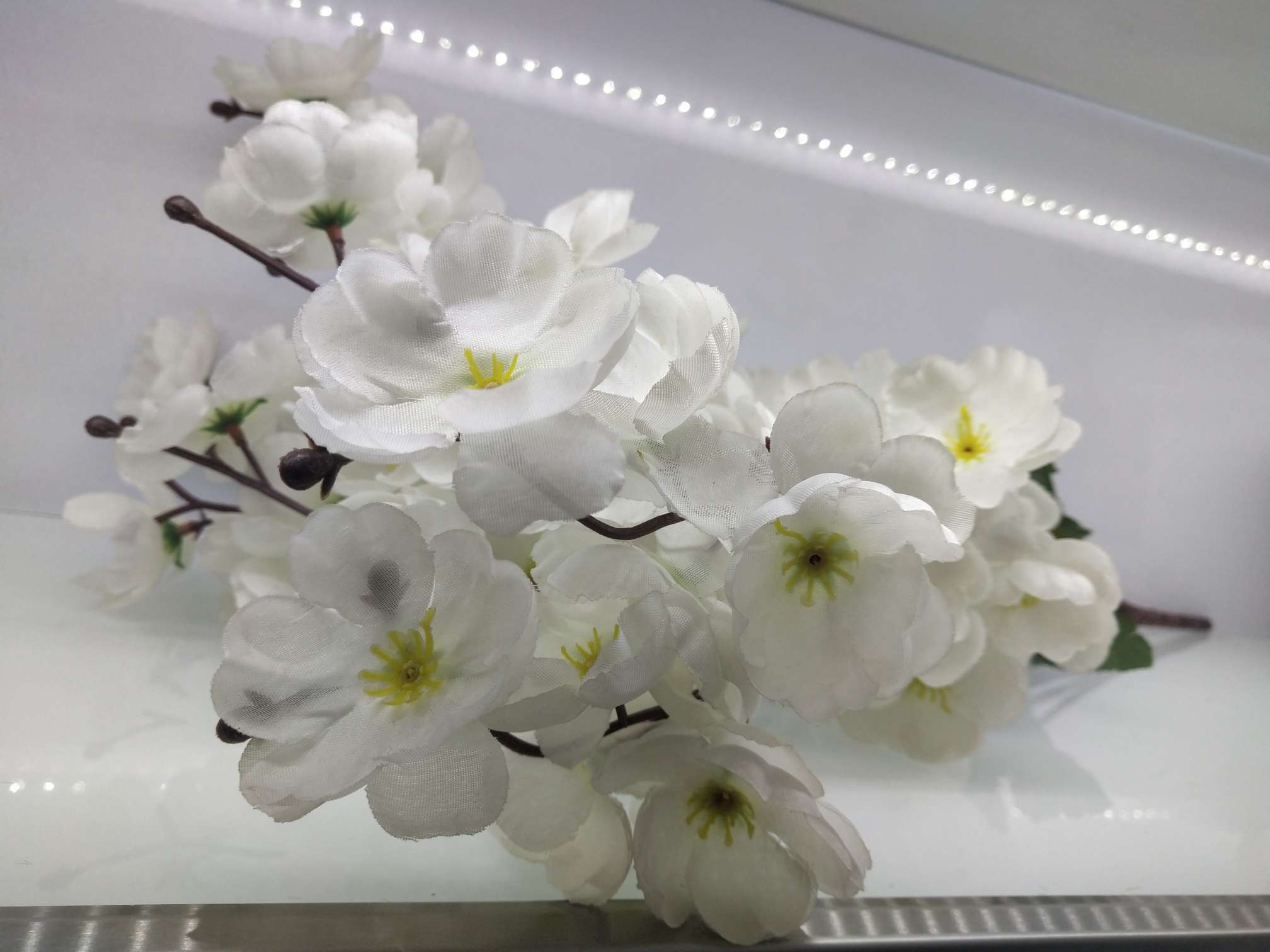 Side the peach blossom thumbnail