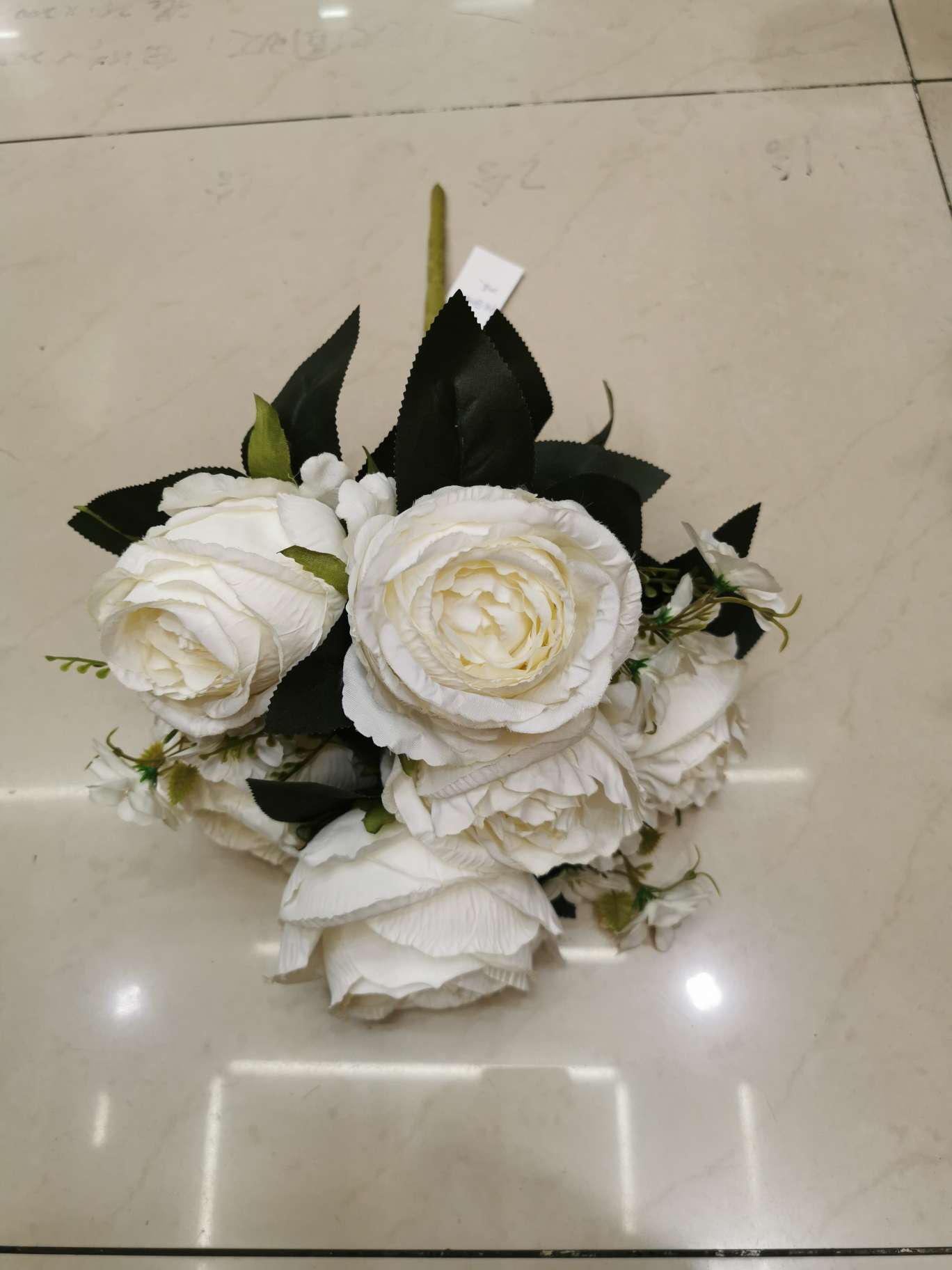 ماي ماي
