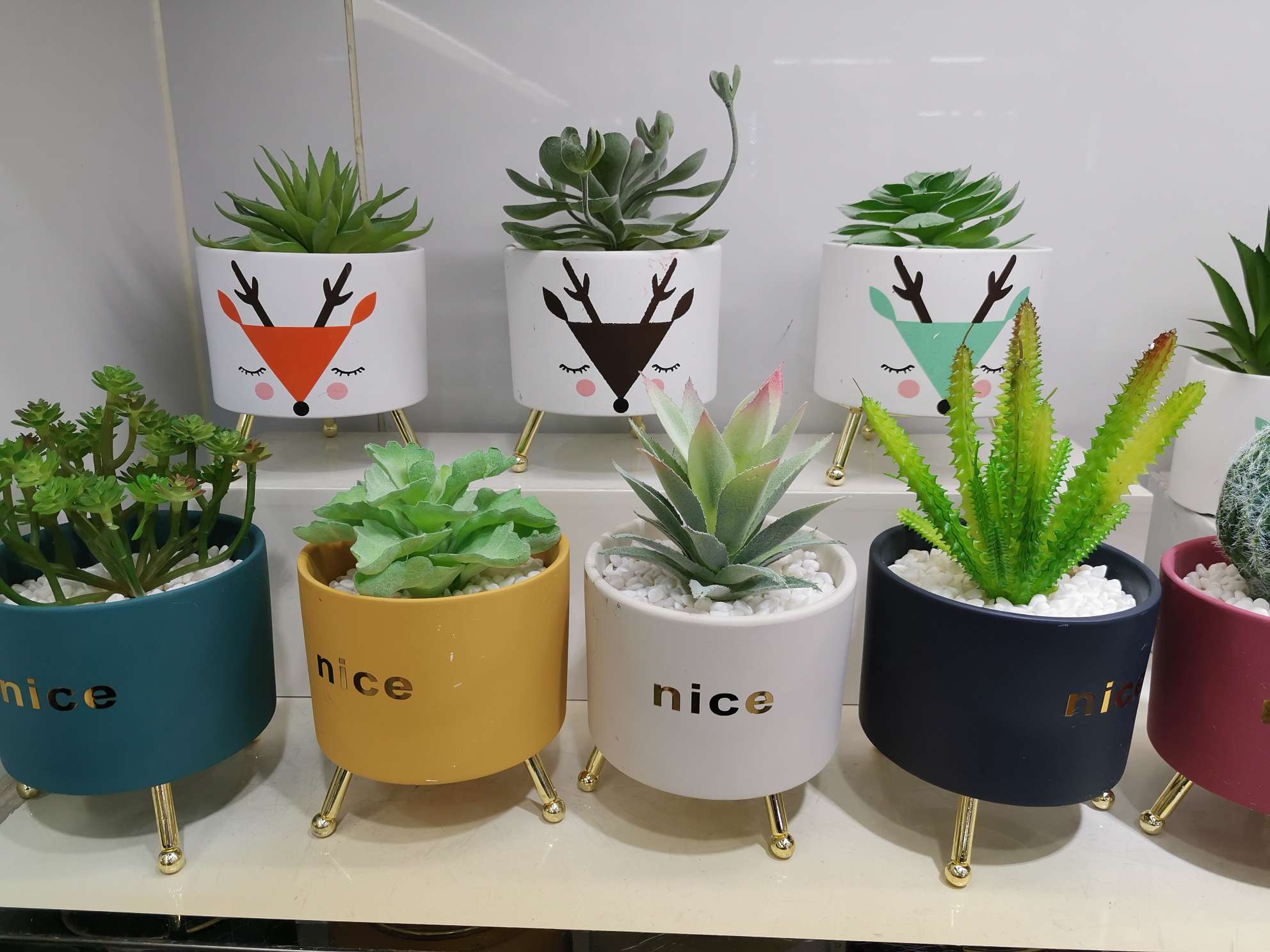 Succulent plant pot with iron frame thumbnail