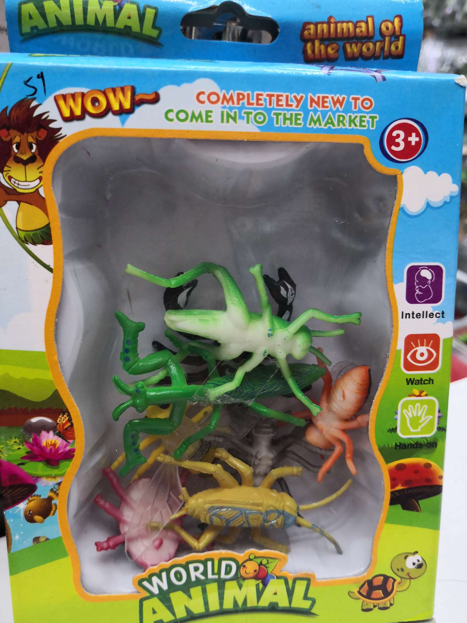 Eight insects in a box thumbnail