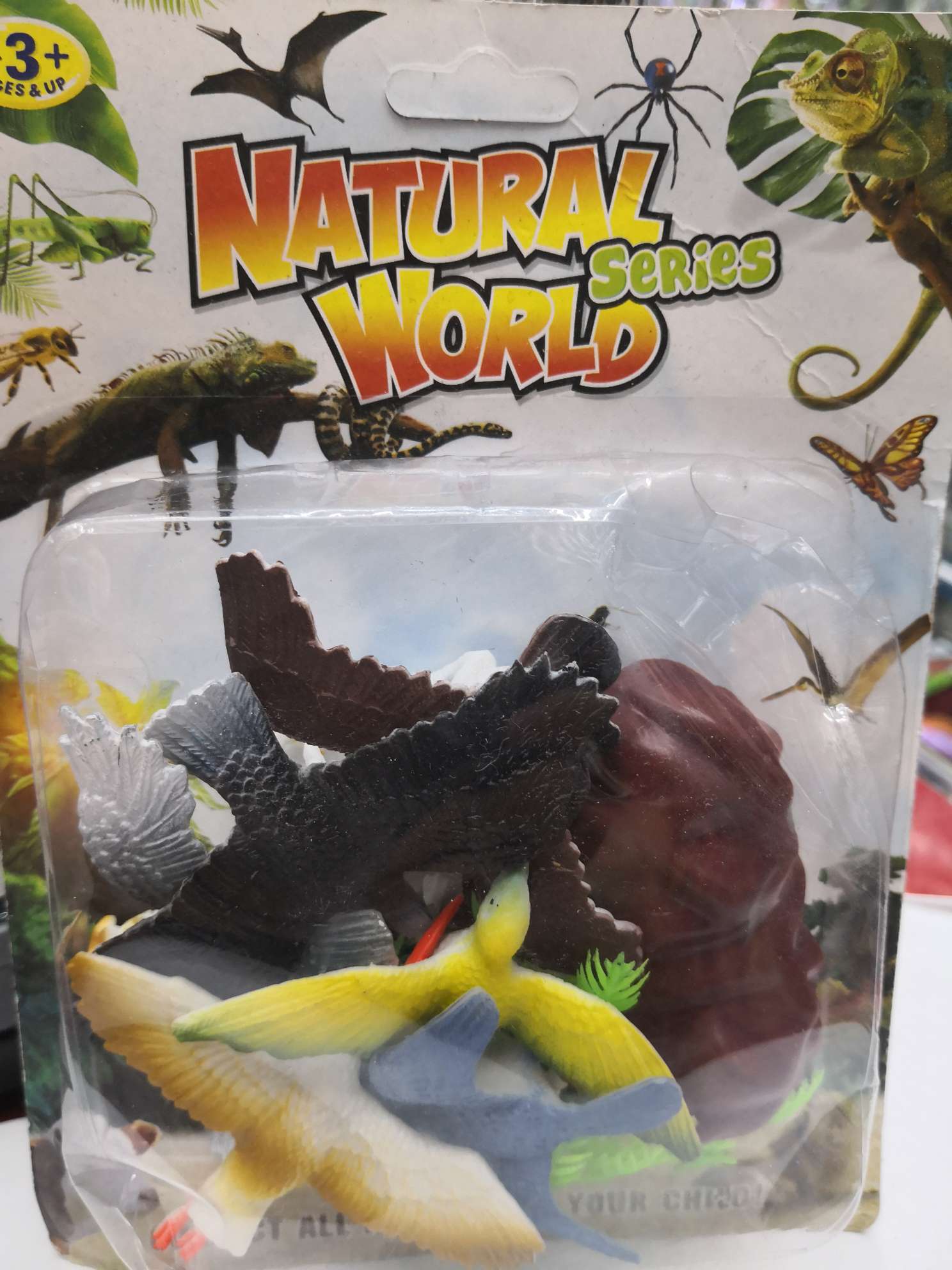 Suck card bird six pack small animals