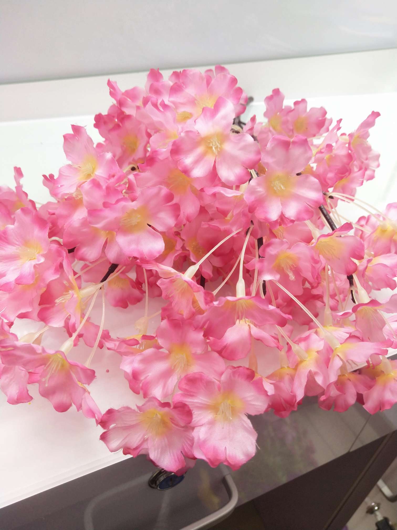 The cherry blossom thumbnail